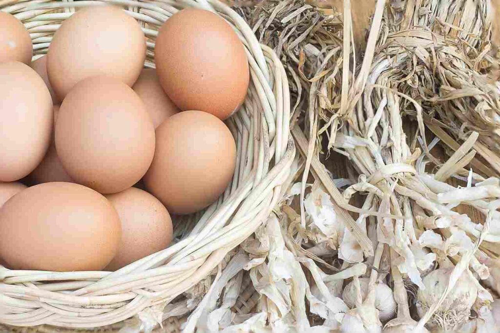 Uova in guscio e sode, quante uova mangiare a settimana per una dieta equilibrata